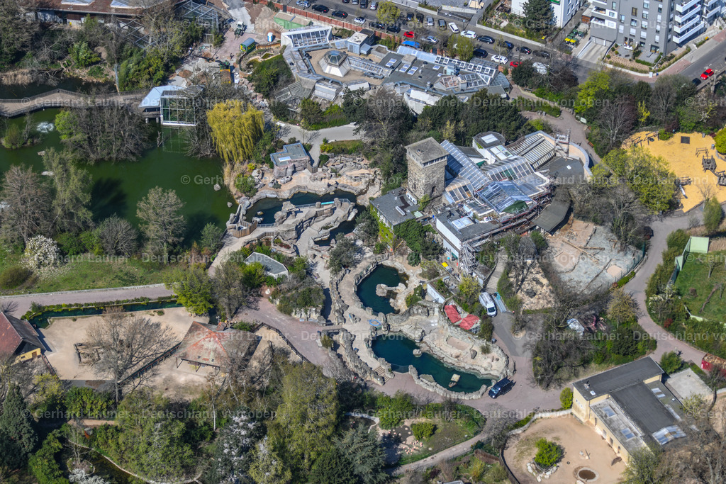 4020116 | Zoo, Frankfurt am Main