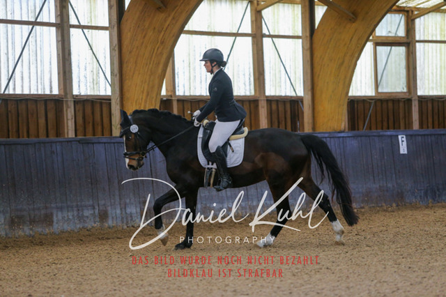 IMG_0087 | Deine Turnierfotos vom Reitturnier online kaufen: Dressur, Springen & Siegerehrung. Professionelle Pferdefotografie aus dem Rheinland – als Download & Print.Alternative: Turnierfotograf für den Pferdesport: Finde deine Fotos von Dressur- und Springturnier