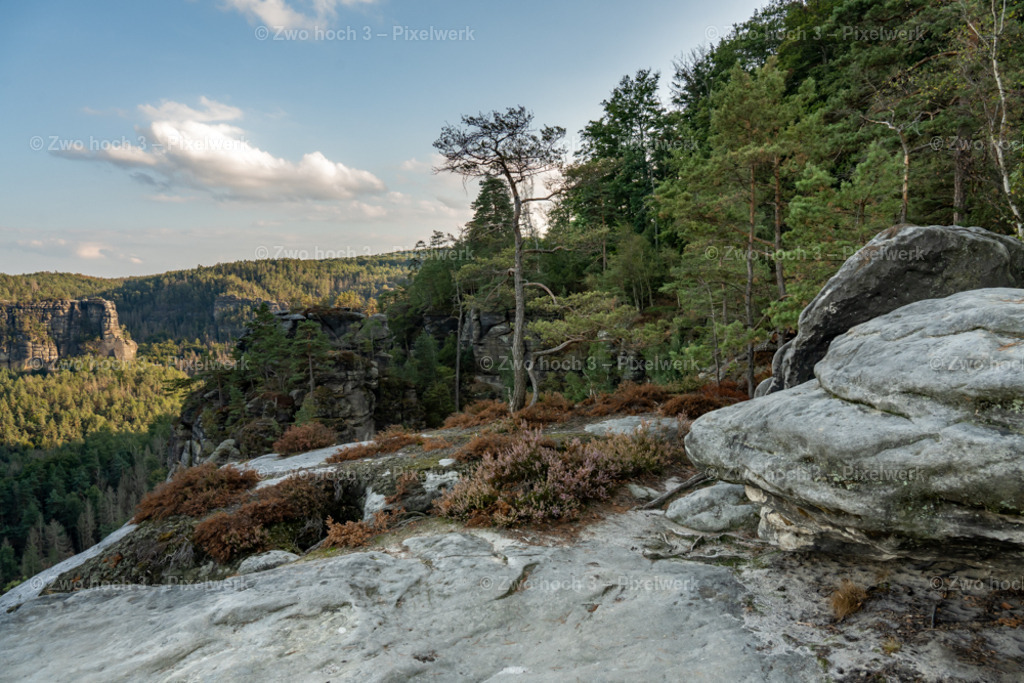Unterer_Fremdenweg_Nahe_Wappen_Baerenhorn_Foersters_Loch | 2022-08-30_Waldbrandgebiete_1 - Realisiert mit Pictrs.com