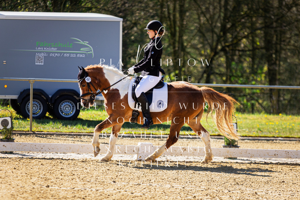 IMGT9934 | pl-fotografie