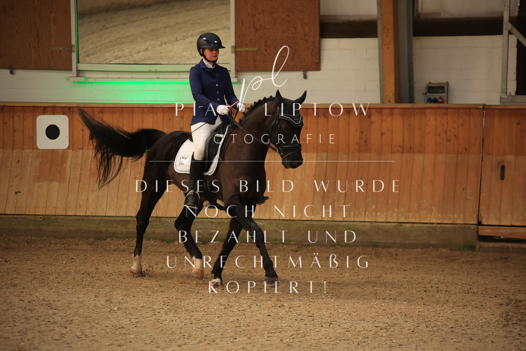 IMGT2302 | pl-fotografie