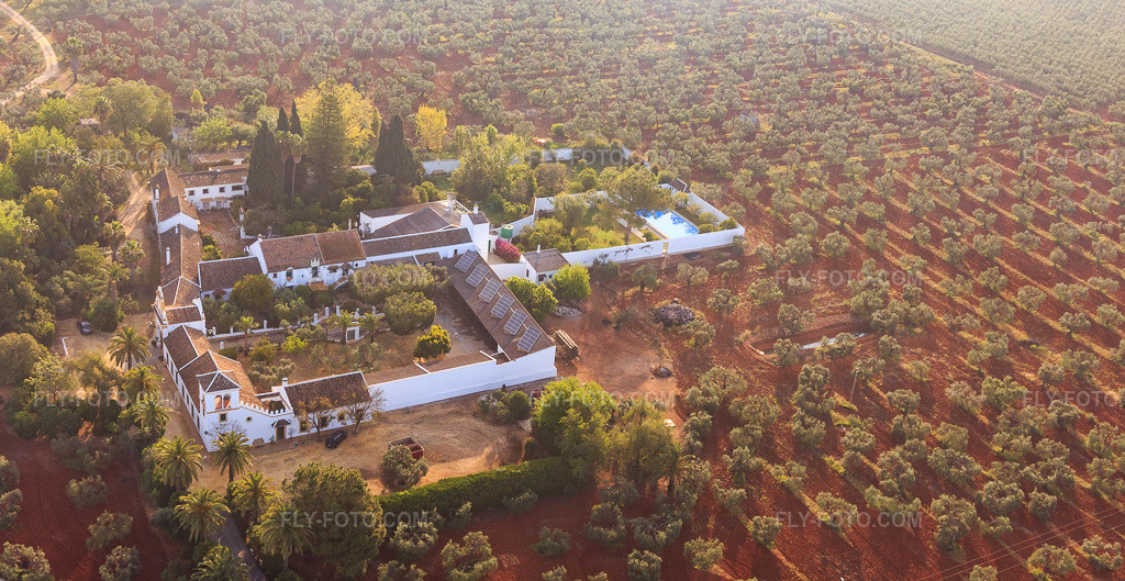 Aerial view: Hacienda nueva del Rosario between olive groves on the A-4 Autovia del Sur in Dos Hermanas in the state Seville, Spain. – Photo: IMG_145759.jpg taken on 04/22/2025 by Werner Riehm/FLY-FOTO.com – Resolution of the original: 5155 x 2661 px
