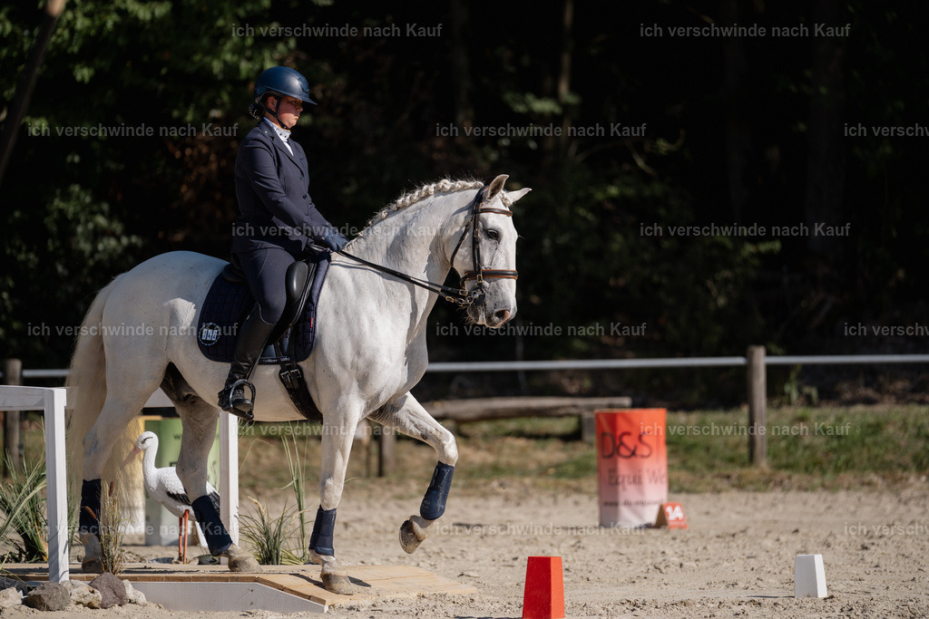 WM_ST_142_stoibphotography__SO12206 | working equitationturnier fotograf videograf stoibphotography marixx film working equitation deutschland reitsport turnierfotografie eventfotografie equestrian events