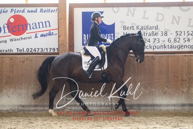 DKP44477 | Turniersportfotografie; Pferdefotografie; Dressurfotografie