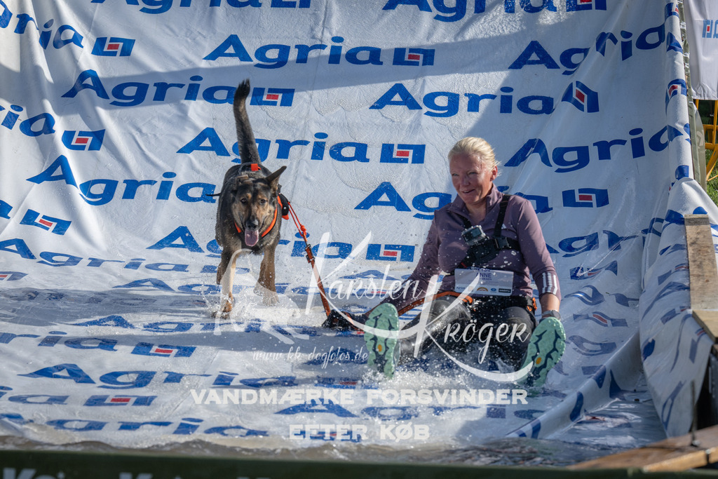 0920_ZZ94950 | kk-dogfotos