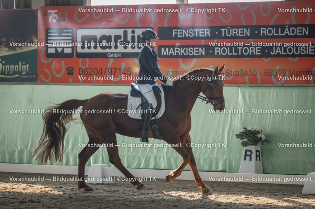 _D5A8546 | Emotionale Pferde- & People-Fotografie rund um Heidelberg, Leimen & Umgebung. Natürliche Fotos von Pferd, Mensch & Familie. Jetzt Termin sichern!