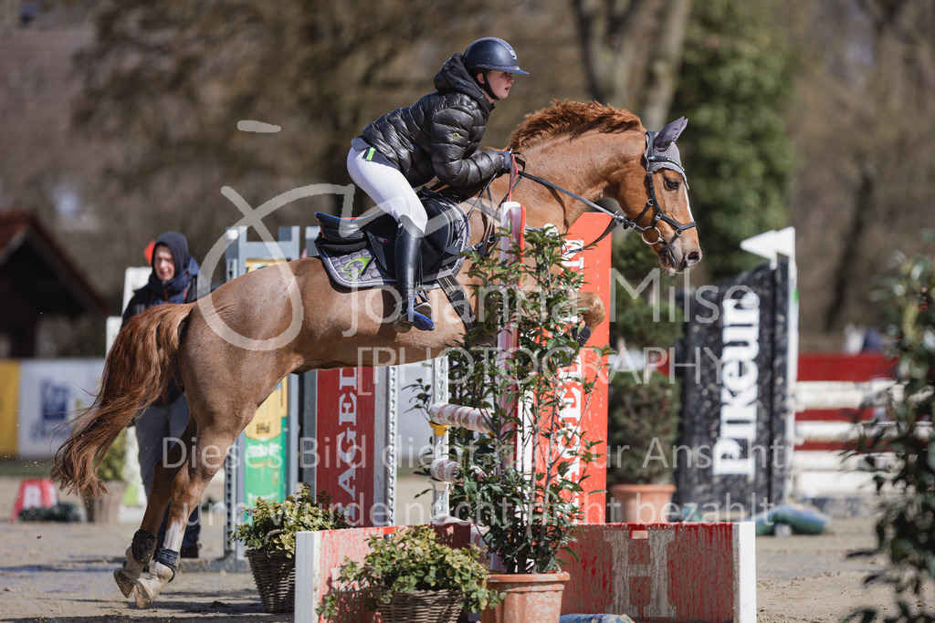 230402_MünsterHandorf_Teamspringen-516 | Deine schönsten Turniermomente als professionelle Fotos! Entdecke hochwertige Pferdesport-Fotografie im Online-Shop. Jetzt Fotos finden & bestellen!