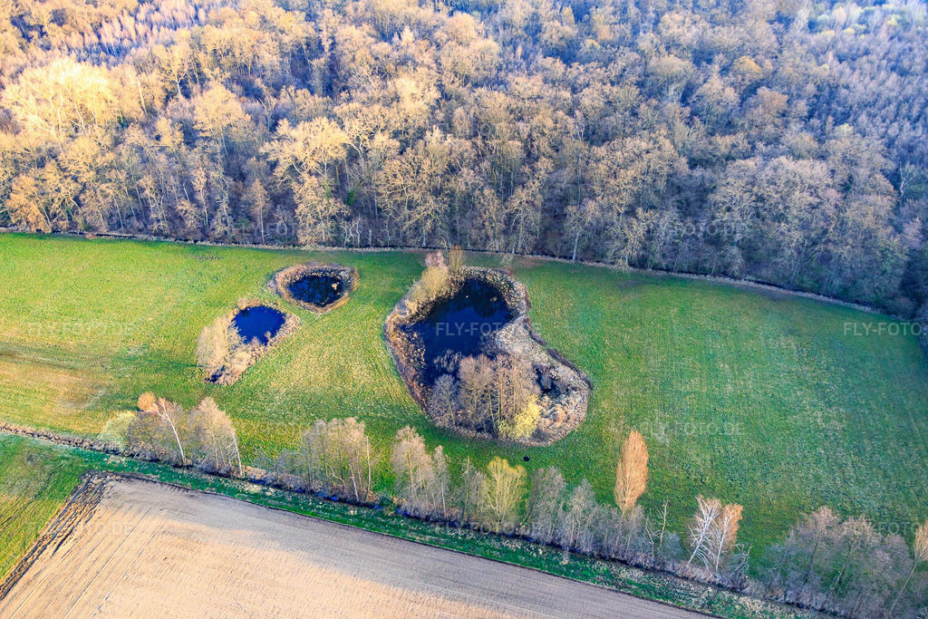 Luftbild: Biotop am Altbach im Winter im Ortsteil Minderslachen in Kandel im Bundesland Rheinland-Pfalz in Deutschland. Foto: IMG_076784.jpg vom 28.03.2015 durch Werner Riehm/FLY-FOTO.de