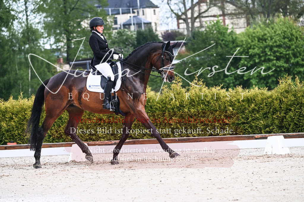 DSC_4203 | Pferde- und Turnierfotografie in Westsachsen. Pferdeportraits, Auftragszeichnungen und intuitive Kunst.