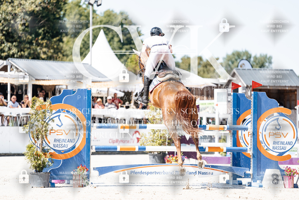 CK909411 | Turnierfotografie Pferdefotografie Trier Rheinland-Pfalz Pferdesport Reitsport Tierfotografie Sportfotografie Pferdevideo Pferdevideografie Equestrianvideography equestrianphotography  - Realisiert mit Pictrs.com