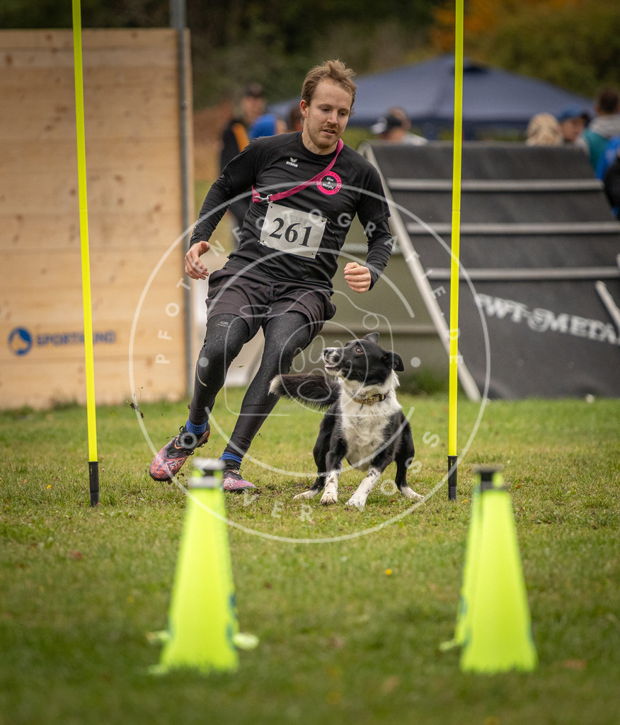 Pfotenfotografie_DV3A7144 | Hundefotografie, Tierfotograf, Pfotenfotografie, Fotoshooting Hund, Hunde Portrait, Hundesport, Hundeportraits, Heideshooting, Hunde, Sportfotograf, Hundefotograf, Turnierhundsport, THS,  - Realisiert mit Pictrs.com