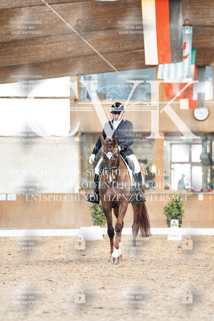 CK909343 | Turnierfotografie Pferdefotografie Trier Rheinland-Pfalz Pferdesport Reitsport Tierfotografie Sportfotografie Pferdevideo Pferdevideografie Equestrianvideography equestrianphotography  - Realisiert mit Pictrs.com