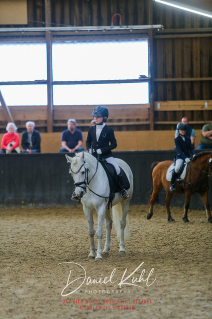 IMG_1434 | Turniersportfotografie; Pferdefotografie; Dressurfotografie