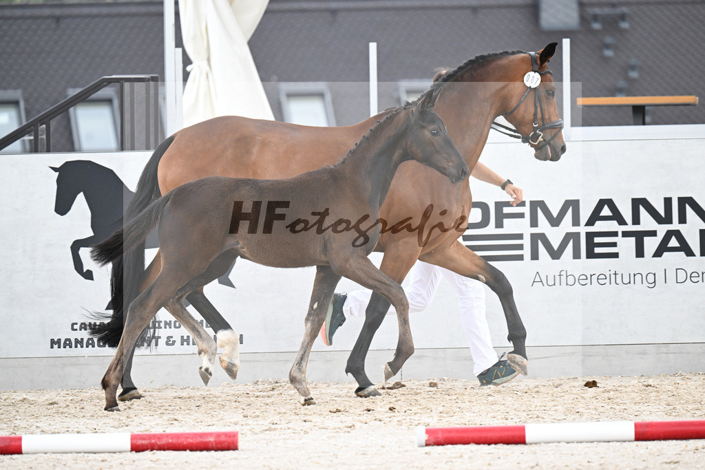 Kat-Nr. 7 One Million x Simonetti_SF_Doering_21250668 | hf-fotografie - Realizzato con Pictrs.com