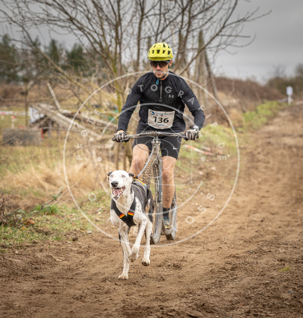 DV3A1330 | Hundefotografie, Tierfotograf, Pfotenfotografie, Fotoshooting Hund, Hunde Portrait, Hundesport, Hundeportraits, Heideshooting, Hunde, Sportfotograf, Hundefotograf, Turnierhundsport, THS,  - Realisiert mit Pictrs.com