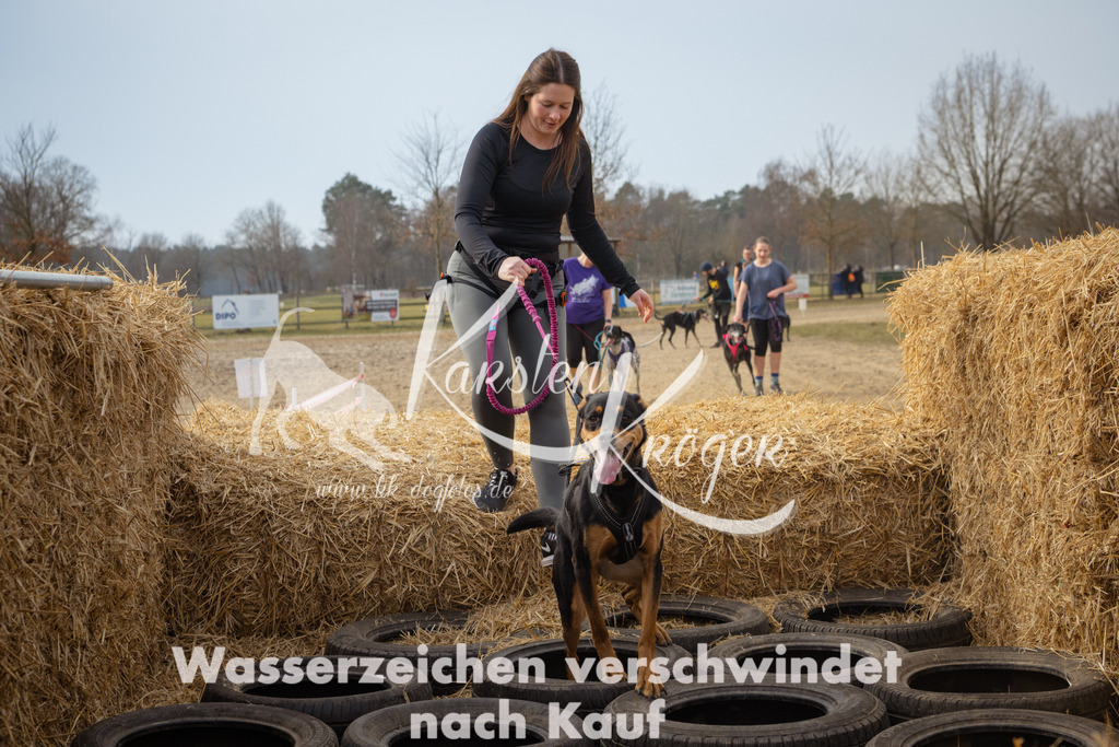 1039_ZZ97051 | kk-dogfotos