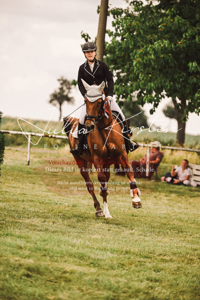 DSC_7005 | Pferde- und Turnierfotografie in Westsachsen. Pferdeportraits, Auftragszeichnungen und intuitive Kunst.