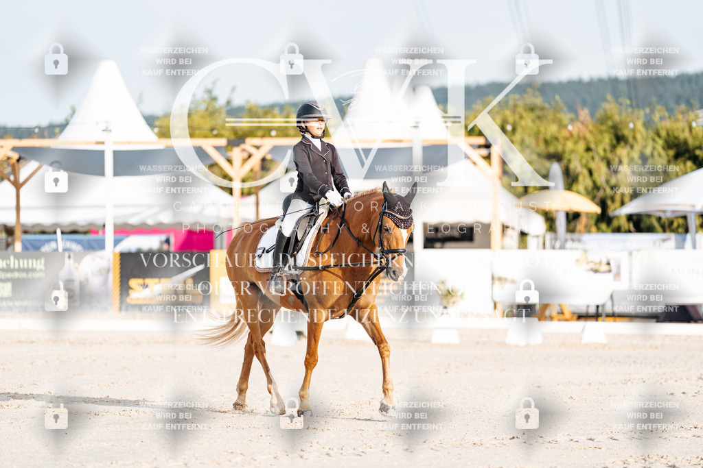 CK903619 | Turnierfotografie Pferdefotografie Trier Rheinland-Pfalz Pferdesport Reitsport Tierfotografie Sportfotografie Pferdevideo Pferdevideografie Equestrianvideography equestrianphotography  - Realisiert mit Pictrs.com