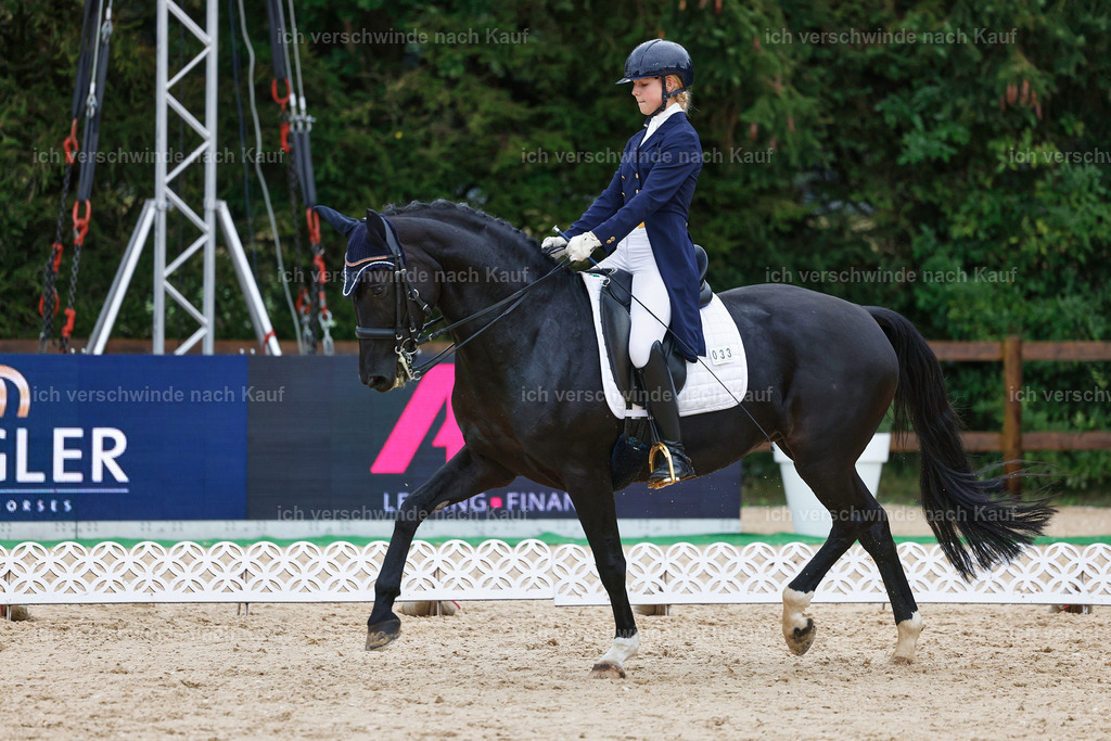 8_2-033-DRESSUR S_  -StoibPH-4401 | working equitationturnier fotograf videograf stoibphotography marixx film working equitation deutschland reitsport turnierfotografie eventfotografie equestrian events