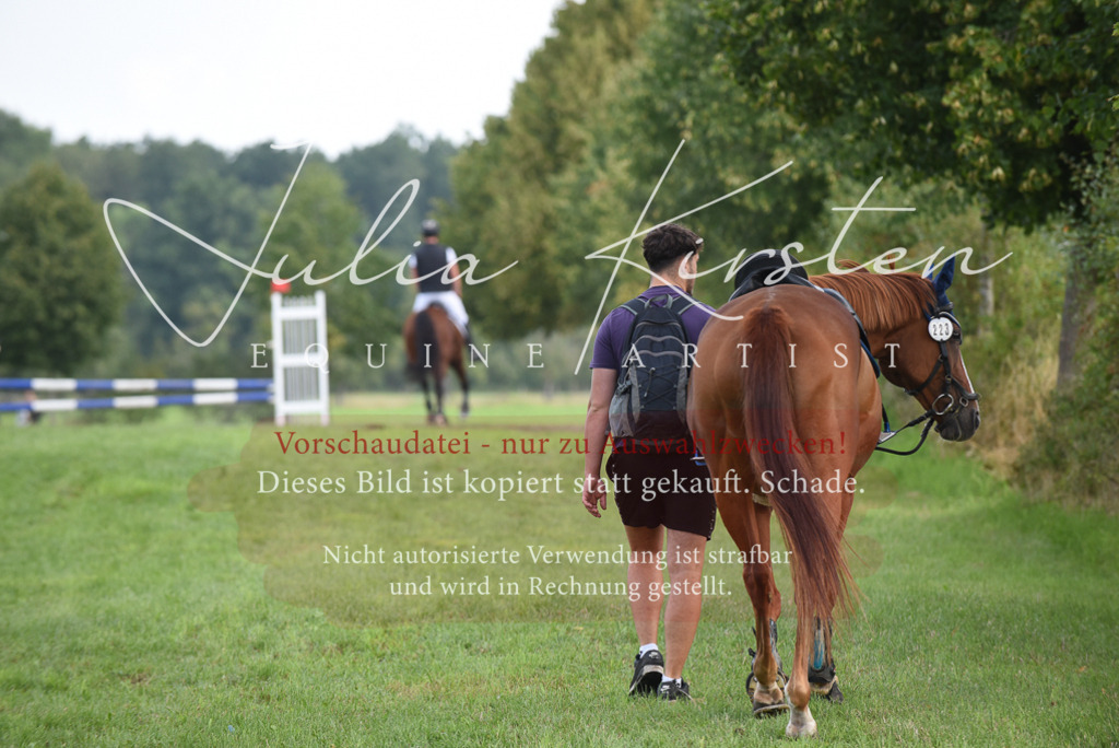 DSC_8594 | Pferde- und Turnierfotografie in Westsachsen. Pferdeportraits, Auftragszeichnungen und intuitive Kunst.