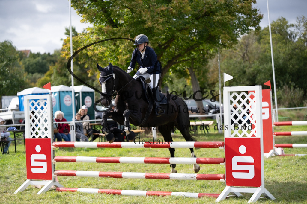 A7V06771 | Pferdefotograf