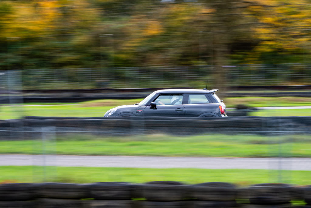 Teningen_2025-8 | Bernd Kohlen - Fotograf | Bilder / Prints kaufen | Landschaften, Sport, Reportagen, Events, Hochzeiten, wedding, Tiere u.v.m. - Realisiert mit Pictrs.com