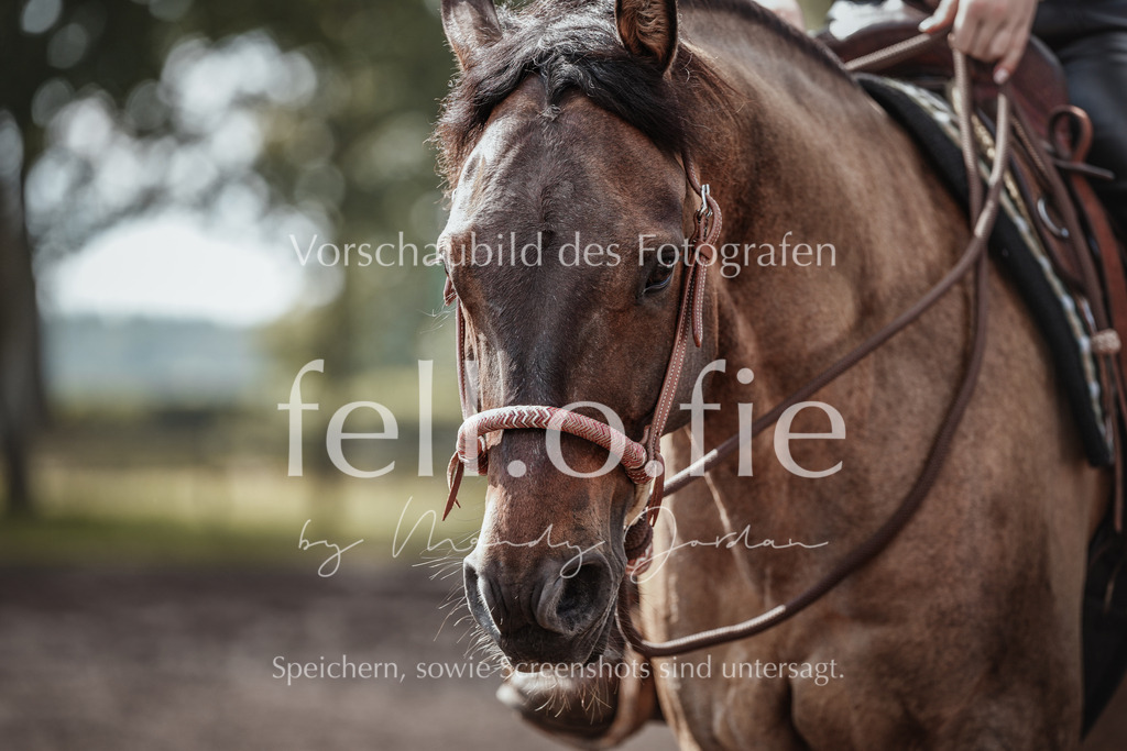 fell.o.fie_mandyjordan_2024_06_02399 | Mandy Klecke Fellfotografie, fell.o.fie Fotografenshop - Realisiert mit Pictrs.com