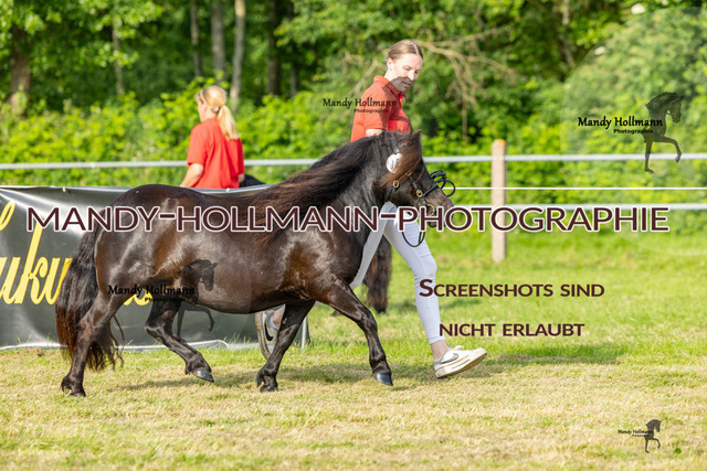 RR 2 (197 von 818) | mandyhollmannphotographie
