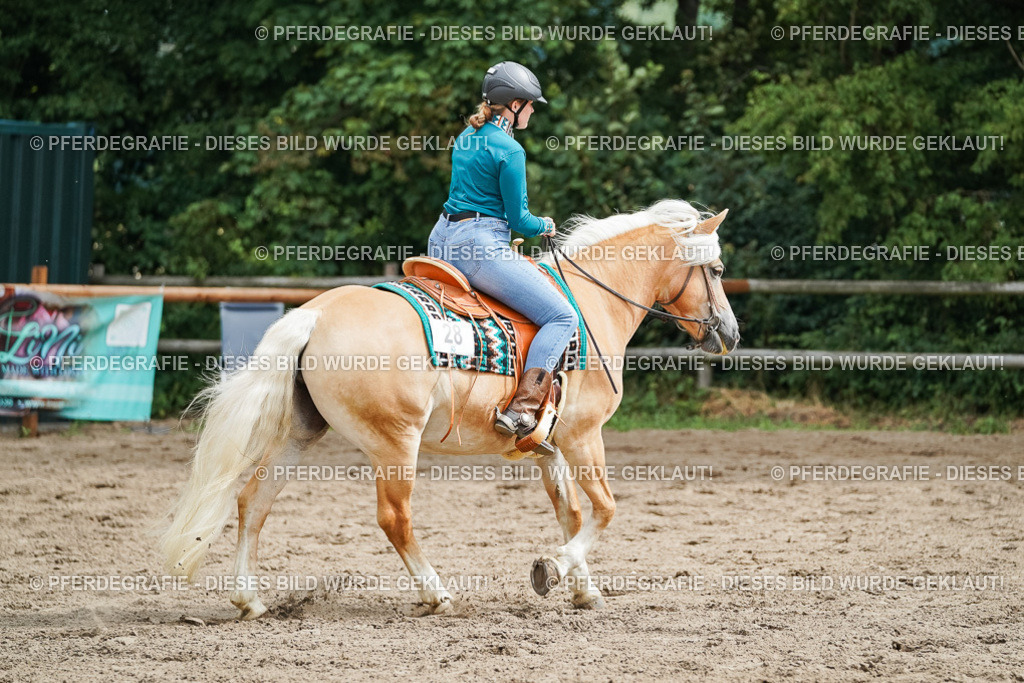 DSC04255 | Pferdegrafie