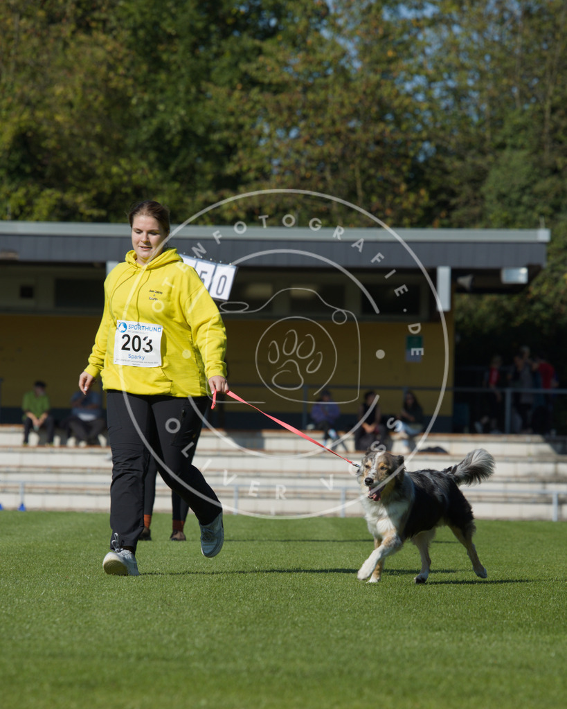0L8A2340 | Hundefotografie, Tierfotograf, Pfotenfotografie, Fotoshooting Hund, Hunde Portrait, Hundesport, Hundeportraits, Heideshooting, Hunde, Sportfotograf, Hundefotograf, Turnierhundsport, THS,  - Realisiert mit Pictrs.com