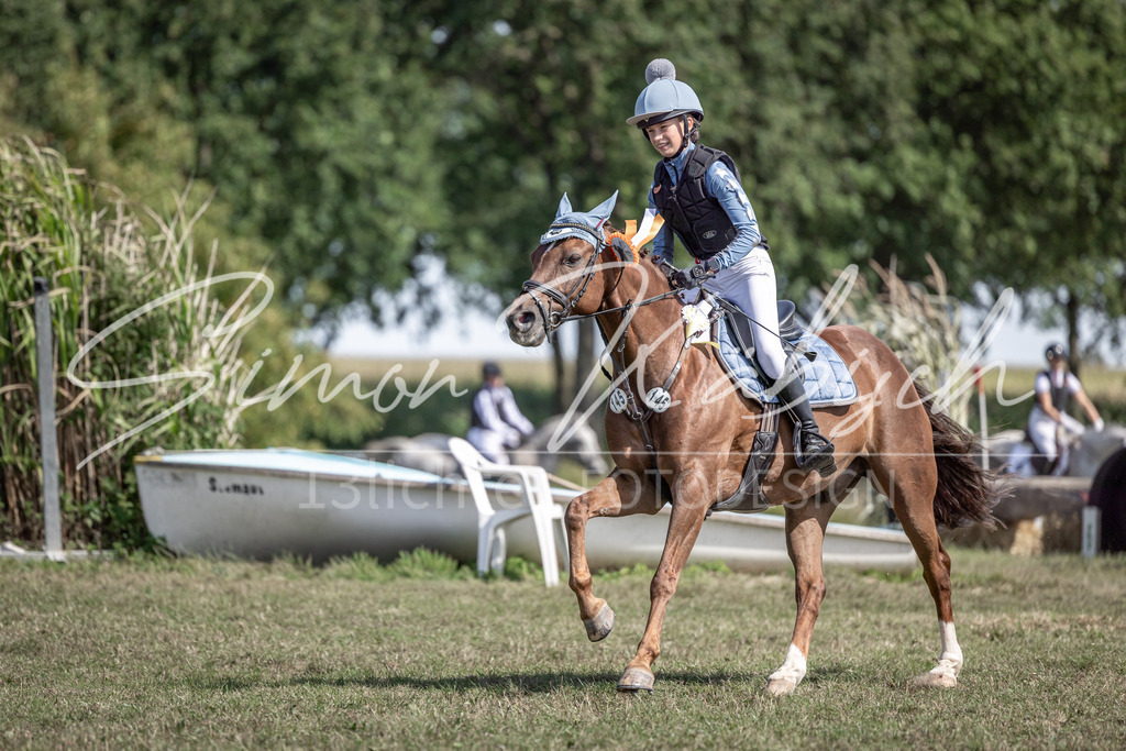 20250907-_3LI0573 | Tierfotografie Pferde, Hunde, Katzen, Haustiere.
Turnierfotografie Reitturniere, Reiten, Springreiten, Dressur in Hanau, dem Main-Kinzig-Kreis und dem Rhein-Main- Gebiet um Frankfurt
