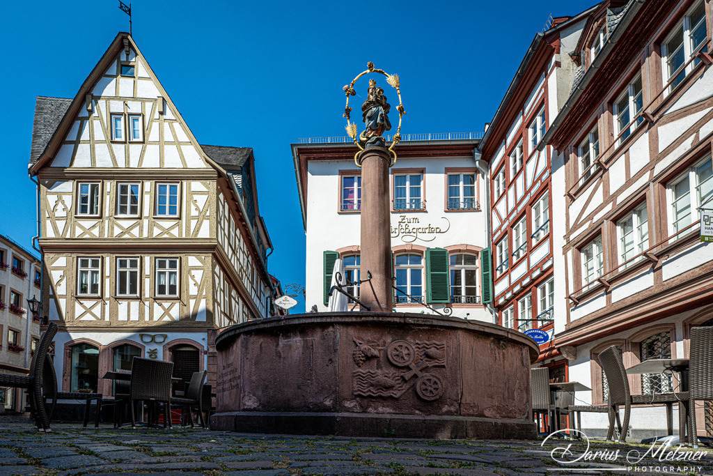 Der Kirschgarten in Mainz | Der Kirschgarten in Mainz