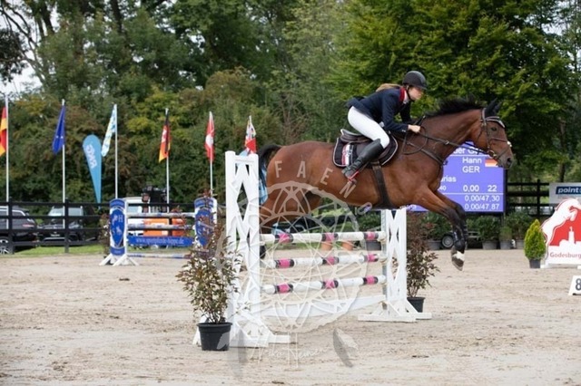 2B4A1494 | pixelfaenger - Realisiert mit Pictrs.com