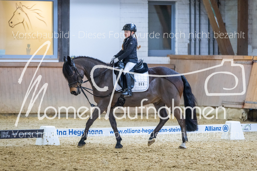Sth-WBO25-RWBST-019 | MomenTaufnahmen Pferdesportfotos