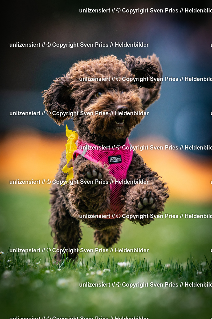 Sven Pries | 2025-05-29 - Pudelrennen KA-Durlach - Realisiert mit Pictrs.com