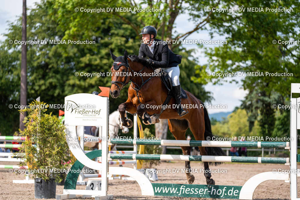 Eppelheim Tag 2-644 | dv-media-shop - Realisiert mit Pictrs.com