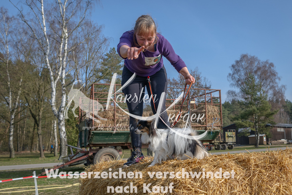 _ZZ90021 | kk-dogfotos