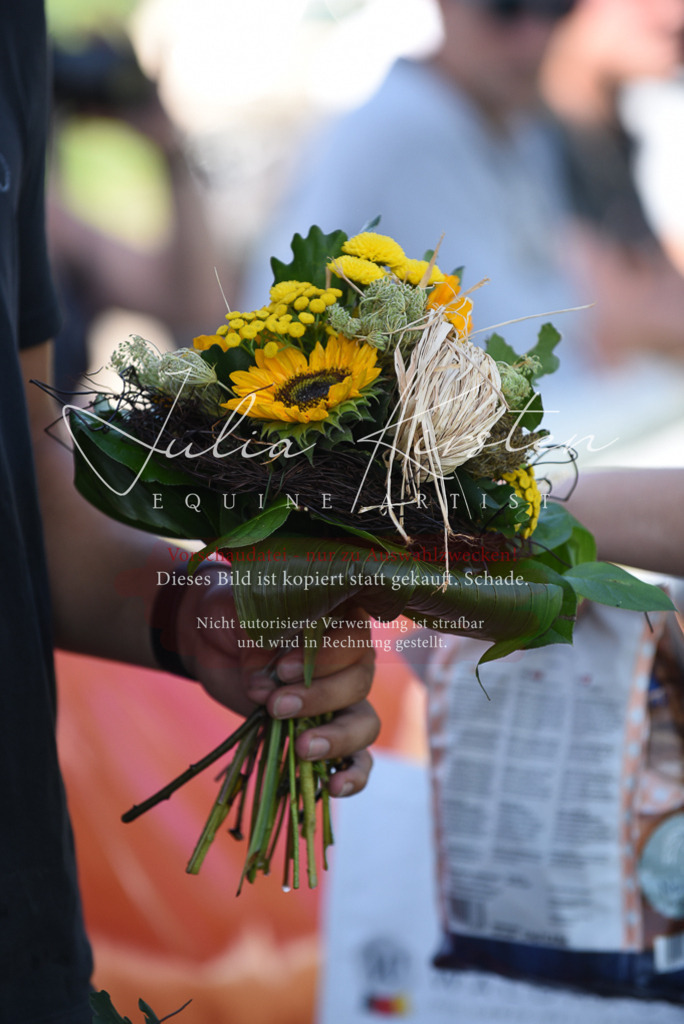 DSC_0437 | Pferde- und Turnierfotografie in Westsachsen. Pferdeportraits, Auftragszeichnungen und intuitive Kunst.