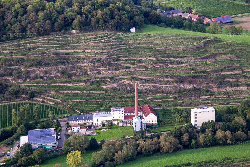 Luftbild: CJD Wolfstein, Aussenstelle Niedermühle und Weingut Klostermühle Odernheim KG in Odernheim am Glan im Bundesland Rheinland-Pfalz in Deutschland.Foto: IMG_138170.jpg vom 03.09.2023 durch Werner Riehm/FLY-FOTO.deGemeinde OdernheimWWW.CLARETUM.DE