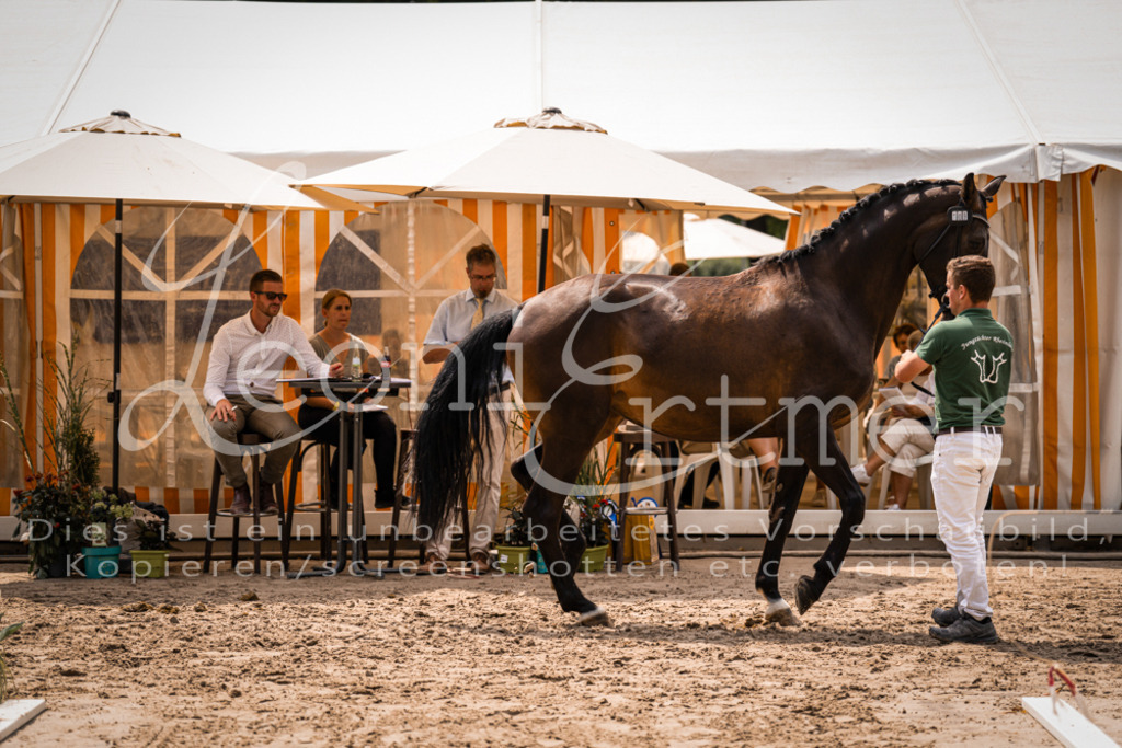 3.Fr00048 | Leoni Ertmer Photography - Realisiert mit Pictrs.com