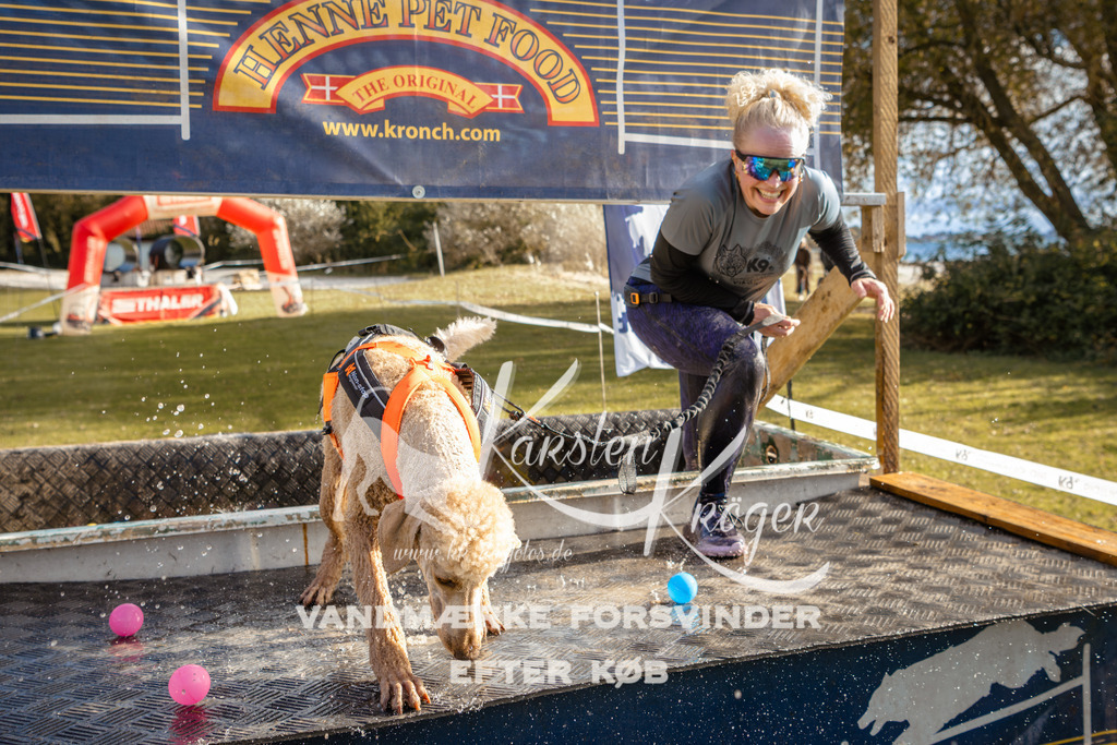 1501_ZZ95753 | kk-dogfotos