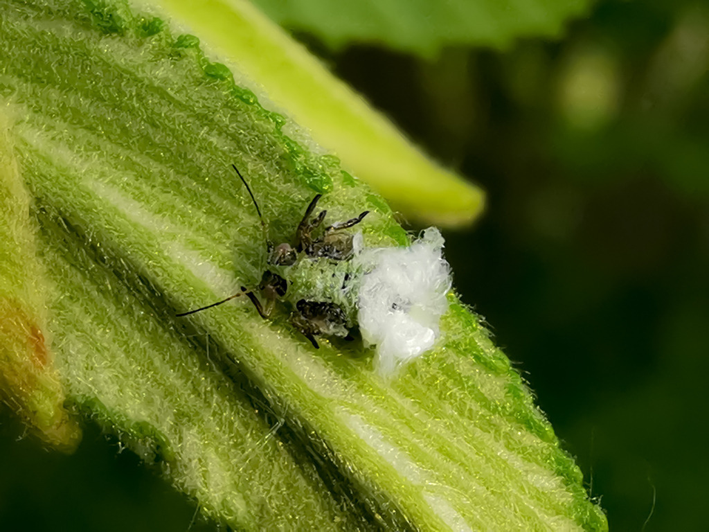 PSX_20230601_224718 | mtkfoto_ - Realisiert mit Pictrs.com