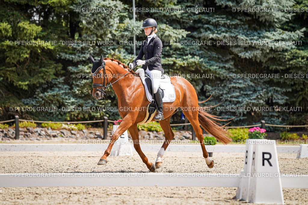 DSC00858 | Pferdegrafie