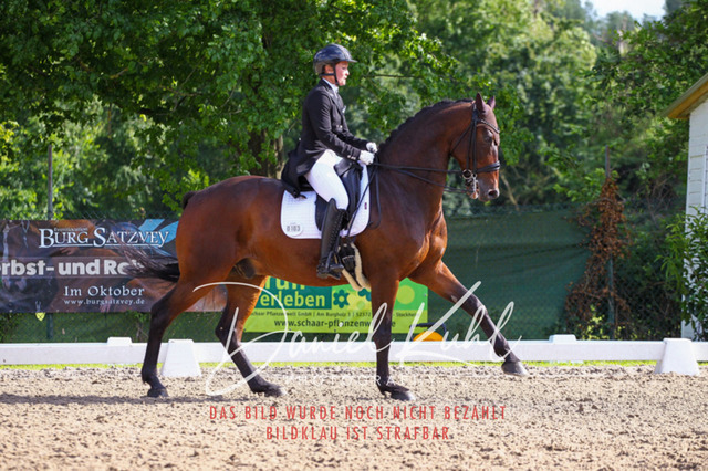 DKP41507 | Deine Turnierfotos vom Reitturnier online kaufen: Dressur, Springen & Siegerehrung. Professionelle Pferdefotografie aus dem Rheinland – als Download & Print.Alternative: Turnierfotograf für den Pferdesport: Finde deine Fotos von Dressur- und Springturnier