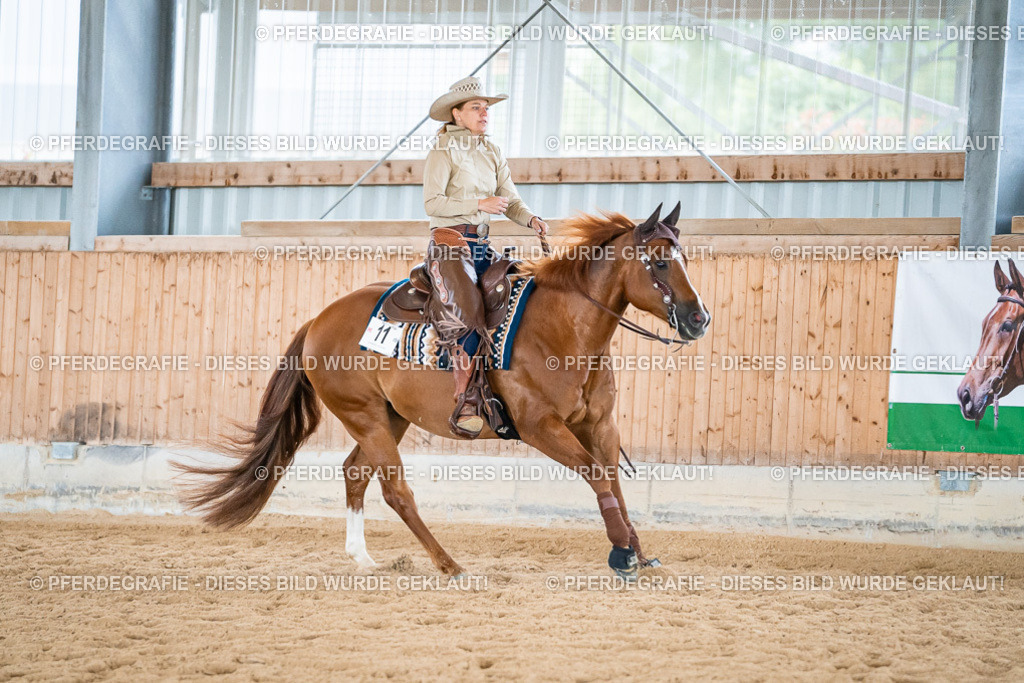 DSC07444 | Pferdegrafie