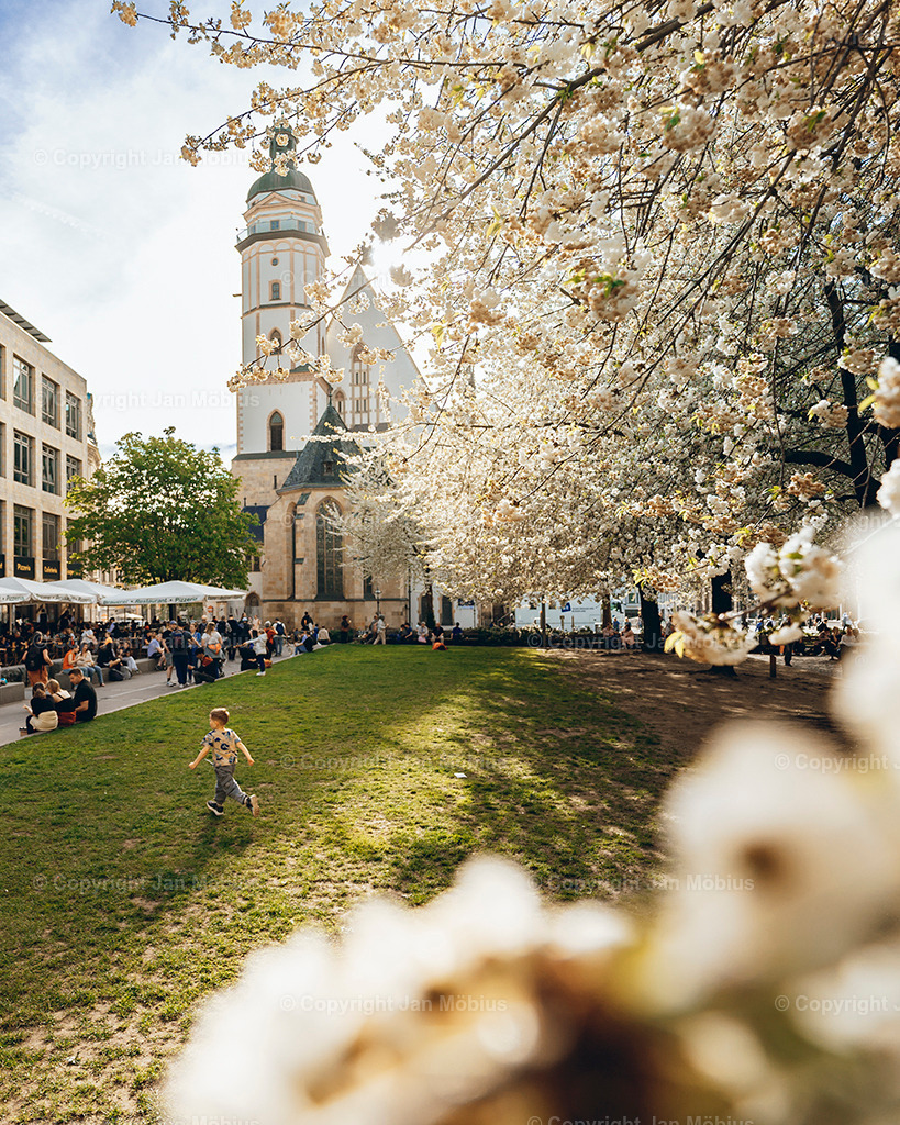 _DSC1404 | Leipzig Wandbilder Drucke Prints Leinwand Stadtmotive Leipzig Fotosdruck Kunstdrucke Bilder Leipzig Stadtansichten Acrylglasbilder Leipzig Wanddeko Fine Art Prints Wandbilder Büro Leipzig Bilder Praxis Zuhause Bilderdruck Poster Posterlounge Kunstdrucke - Realisiert mit Pictrs.com