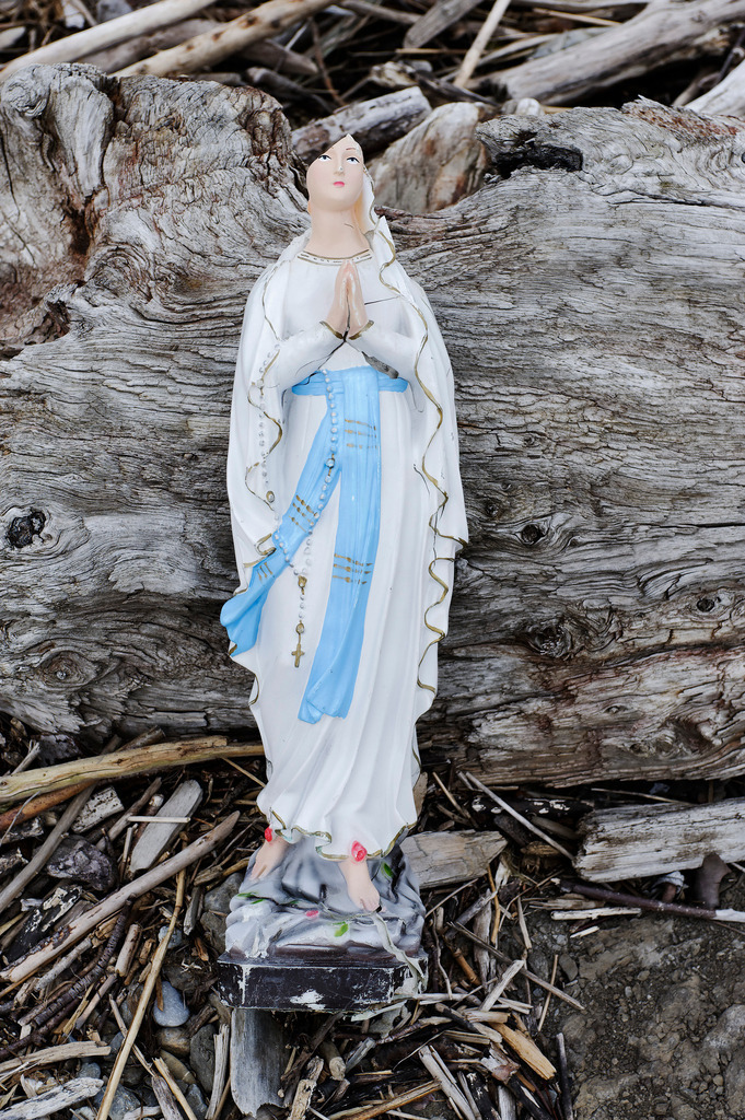 Marienstatue im Treibholz | Hard, Austria - April 04, 2011: Marienstatue im Treibholz. - Realisiert mit Pictrs.com