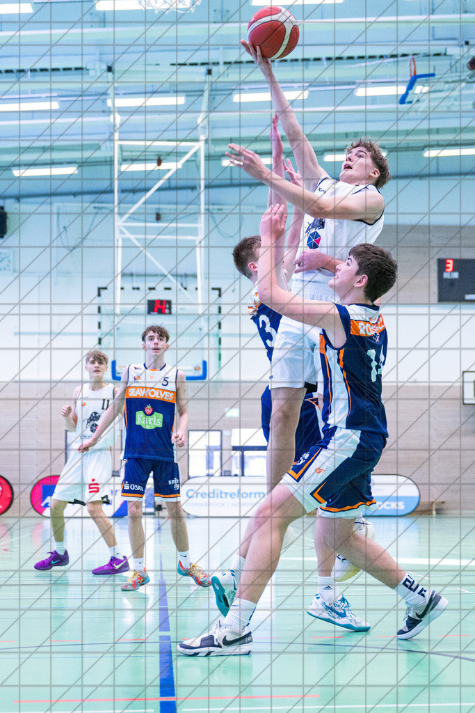 JBBL 24/25 | 19.01.2025 | Charisma Young Bulls vs. Rostock Seawolves | JBBL 24/25 | 19.01.2025 | Charisma Young Bulls vs. Rostock Seawolves - - - - - CREDIT, www.bullenfotos.de, Martin König, Hörner Weg 40, D-49078 Osnabrück, +4917663732967, Nutzung und Weitergabe nur zu den vereinbarten Zwecken. Presseanfragen an Urheber. Alle Rechte beim Urheber. - - - - - - Realisiert mit Pictrs.com