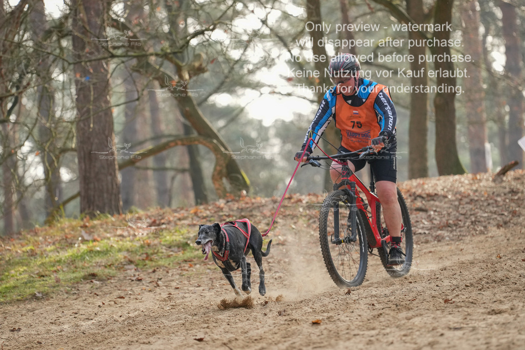 Bike1-200 | stephaniefillaphotographie - Realisiert mit Pictrs.com