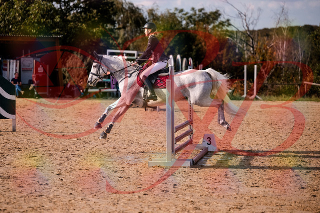2026_10_03_Siefer-Hof_155127_Z81_70341100 | Professionelle Reitsport-, Turnier- und Eventfotografie von Robert Broda. Galerien mit ausgewählten und bearbeiteten Bildern direkt online ansehen und bestellen.